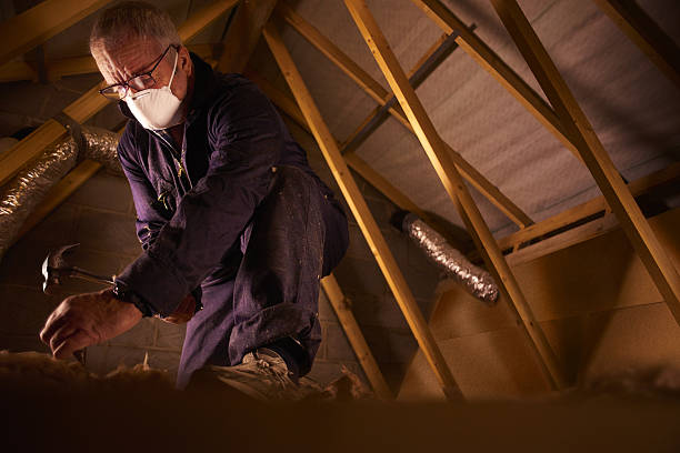 Best Spray Foam Insulation in Utqiagvik, AK